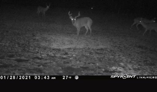 Photo #69 of 4068 Midway Road, Maxton, NC 115.3 acres