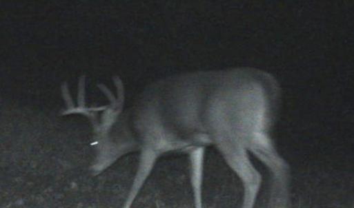 Photo #74 of 4068 Midway Road, Maxton, NC 115.3 acres