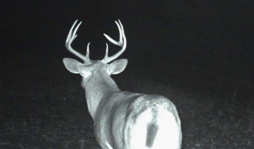 Photo #75 of 4068 Midway Road, Maxton, NC 115.3 acres