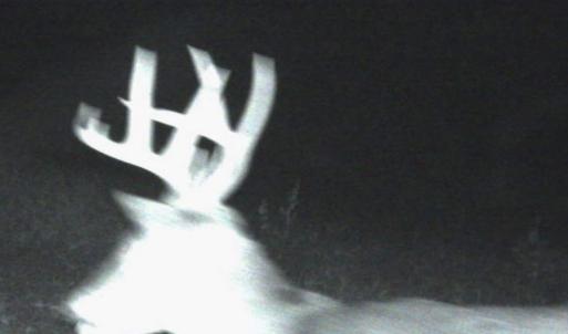 Photo #76 of 4068 Midway Road, Maxton, NC 115.3 acres