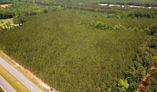 Photo #3 of SOLD property in Blue Star Highway, Jarratt, VA 28.0 acres