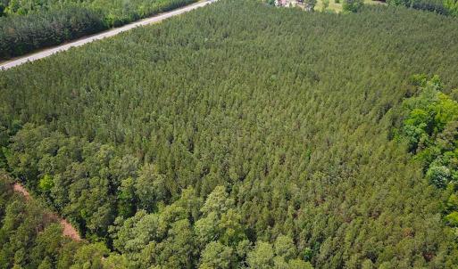 Photo #4 of SOLD property in Blue Star Highway, Jarratt, VA 28.0 acres