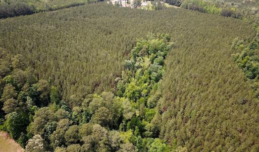 Photo #6 of SOLD property in Blue Star Highway, Jarratt, VA 28.0 acres