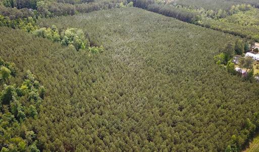 Photo #7 of SOLD property in Blue Star Highway, Jarratt, VA 28.0 acres