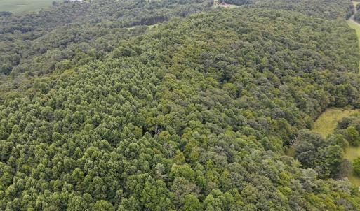 Photo #12 of SOLD property in Off Squirrel Spur Rd, Meadows of Dan, VA 20.0 acres