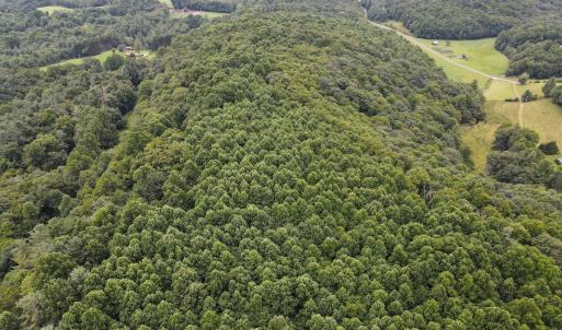 Photo #13 of SOLD property in Off Squirrel Spur Rd, Meadows of Dan, VA 20.0 acres