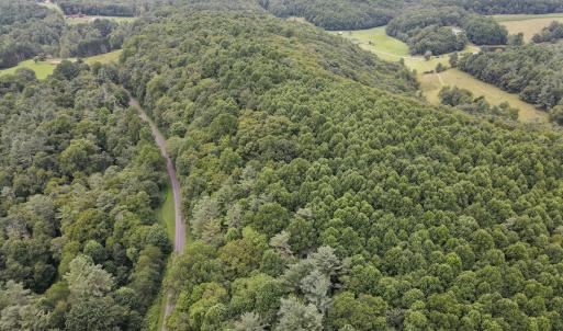 Photo #14 of SOLD property in Off Squirrel Spur Rd, Meadows of Dan, VA 20.0 acres