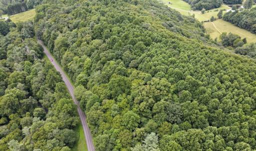Photo #17 of SOLD property in Off Squirrel Spur Rd, Meadows of Dan, VA 20.0 acres