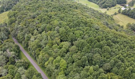 Photo #18 of SOLD property in Off Squirrel Spur Rd, Meadows of Dan, VA 20.0 acres