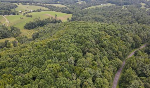 Photo #2 of SOLD property in Off Squirrel Spur Rd, Meadows of Dan, VA 20.0 acres