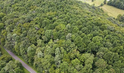 Photo #24 of SOLD property in Off Squirrel Spur Rd, Meadows of Dan, VA 20.0 acres