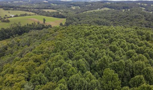 Photo #26 of SOLD property in Off Squirrel Spur Rd, Meadows of Dan, VA 20.0 acres