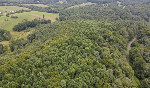 Photo #3 of SOLD property in Off Squirrel Spur Rd, Meadows of Dan, VA 20.0 acres