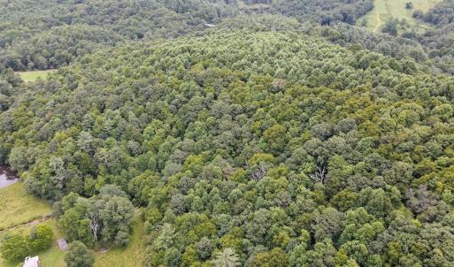 Photo #4 of SOLD property in Off Squirrel Spur Rd, Meadows of Dan, VA 20.0 acres