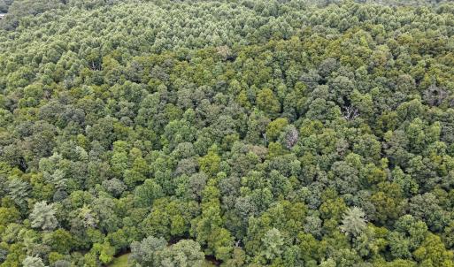 Photo #7 of SOLD property in Off Squirrel Spur Rd, Meadows of Dan, VA 20.0 acres