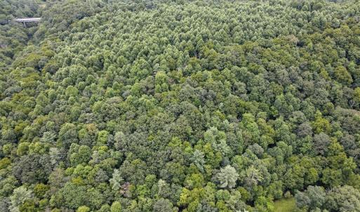 Photo #8 of SOLD property in Off Squirrel Spur Rd, Meadows of Dan, VA 20.0 acres