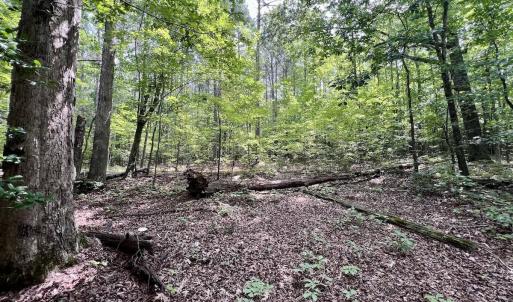 Photo #11 of Off Gordon Lane - Lot 27, Macon, NC 1.0 acres