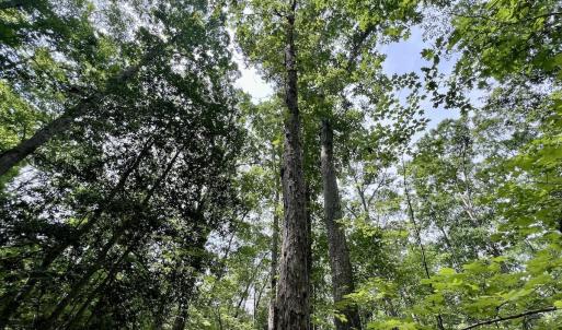 Photo #12 of Off Gordon Lane - Lot 27, Macon, NC 1.0 acres