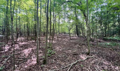 Photo #13 of Off Gordon Lane - Lot 27, Macon, NC 1.0 acres