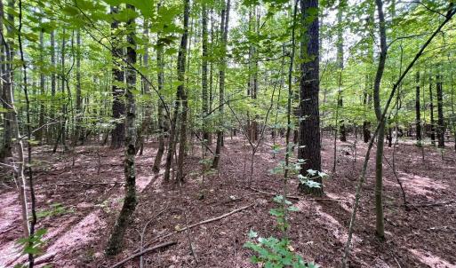 Photo #14 of Off Gordon Lane - Lot 27, Macon, NC 1.0 acres