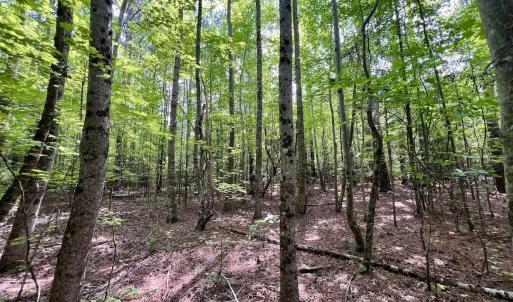 Photo #15 of Off Gordon Lane - Lot 27, Macon, NC 1.0 acres