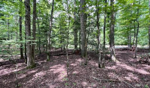 Photo #16 of Off Gordon Lane - Lot 27, Macon, NC 1.0 acres