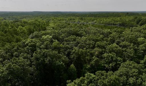 Photo #3 of Off Gordon Lane - Lot 27, Macon, NC 1.0 acres