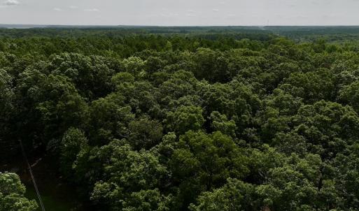 Photo #4 of Off Gordon Lane - Lot 27, Macon, NC 1.0 acres