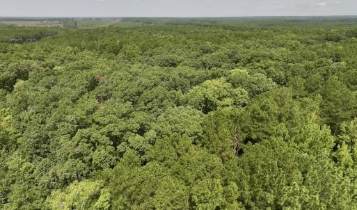 Photo #7 of Off Gordon Lane - Lot 27, Macon, NC 1.0 acres
