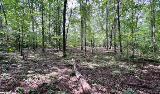 Photo #10 of Off Gordon Lane - Lot 27, Macon, NC 1.0 acres