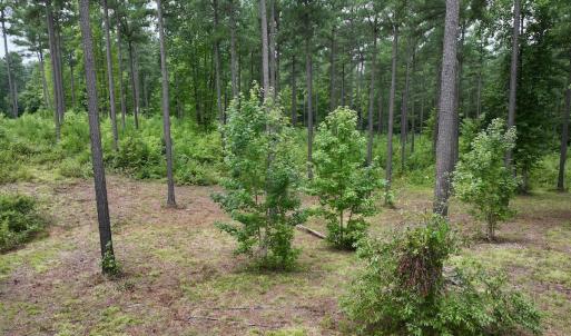 Photo #12 of Off Sail View Lane, Macon, NC 1.0 acres