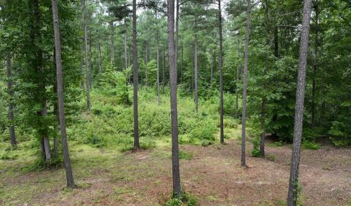 Photo #13 of Off Sail View Lane, Macon, NC 1.0 acres