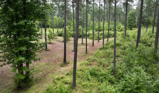 Photo #17 of Off Sail View Lane, Macon, NC 1.0 acres