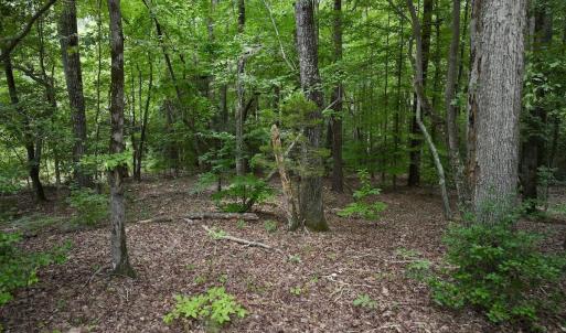 Photo #19 of Off Sail View Lane, Macon, NC 1.0 acres