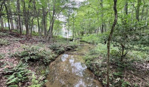 Photo #20 of Off Sail View Lane, Macon, NC 1.0 acres