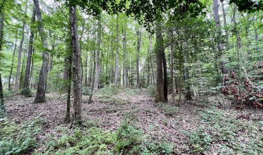 Photo #22 of Off Sail View Lane, Macon, NC 1.0 acres