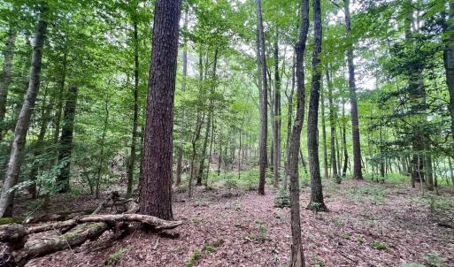 Photo #23 of Off Sail View Lane, Macon, NC 1.0 acres