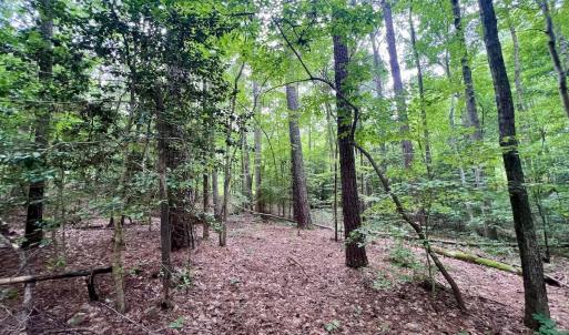 Photo #24 of Off Sail View Lane, Macon, NC 1.0 acres