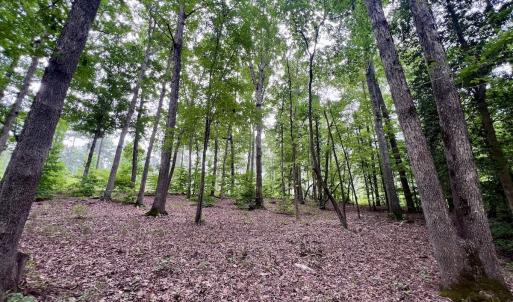 Photo #25 of Off Sail View Lane, Macon, NC 1.0 acres