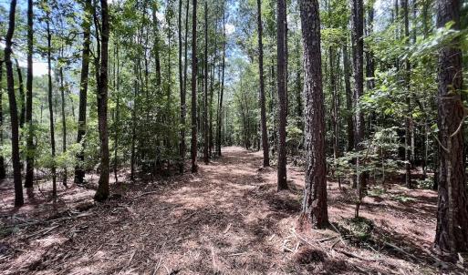 Photo #15 of 337 PAMLICO BEACH RD, Belhaven, NC 1.9 acres