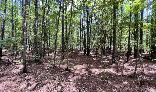 Photo #16 of 337 PAMLICO BEACH RD, Belhaven, NC 1.9 acres
