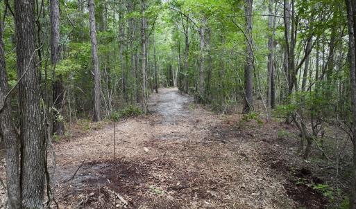 Photo #18 of 337 PAMLICO BEACH RD, Belhaven, NC 1.9 acres