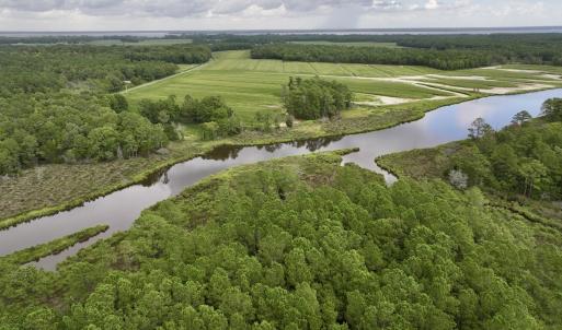 Photo #5 of 337 PAMLICO BEACH RD, Belhaven, NC 1.9 acres