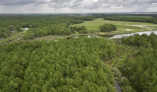 Photo #6 of 337 PAMLICO BEACH RD, Belhaven, NC 1.9 acres