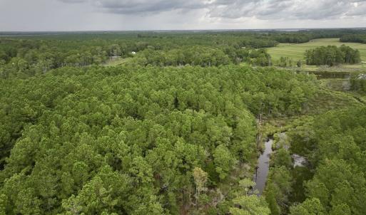 Photo #7 of 337 PAMLICO BEACH RD, Belhaven, NC 1.9 acres