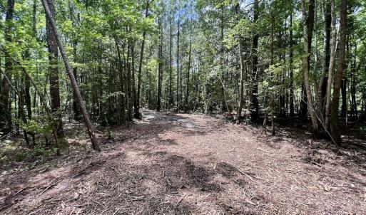 Photo #26 of 337 PAMLICO BEACH RD, Belhaven, NC 1.9 acres