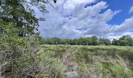 Photo #39 of 337 PAMLICO BEACH RD, Belhaven, NC 1.9 acres