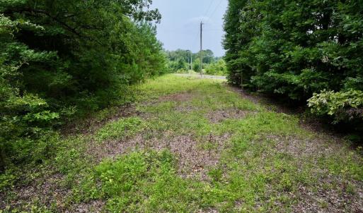 Photo #12 of SOLD property in Off 1607 SR, Warrenton, NC 5.0 acres