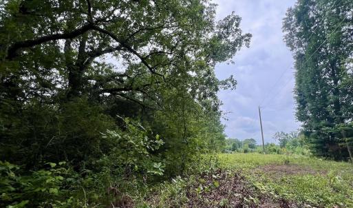 Photo #16 of SOLD property in Off 1607 SR, Warrenton, NC 5.0 acres