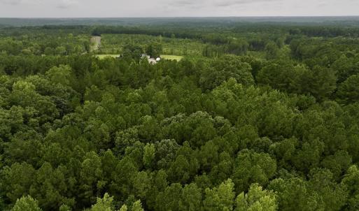 Photo #4 of SOLD property in Off 1607 SR, Warrenton, NC 5.0 acres